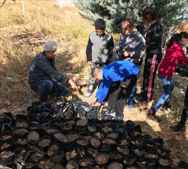 Onlarında Dikili Bir Ağaçları Var
