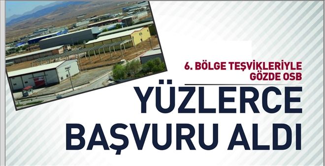 YÜZLERCE BAŞVURU ALDI