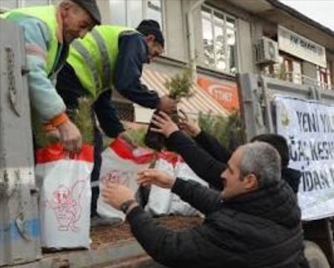 Aksaray´da İki Bin Fidan Dağıtıldı