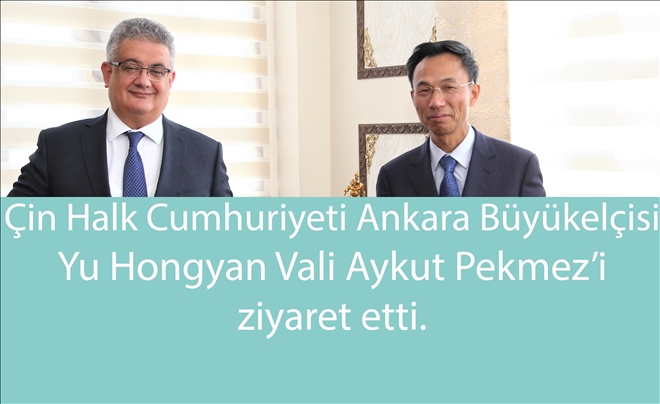 Çin Büyükelçisi Hongyan Vali Pekmez´i ziyaret etti