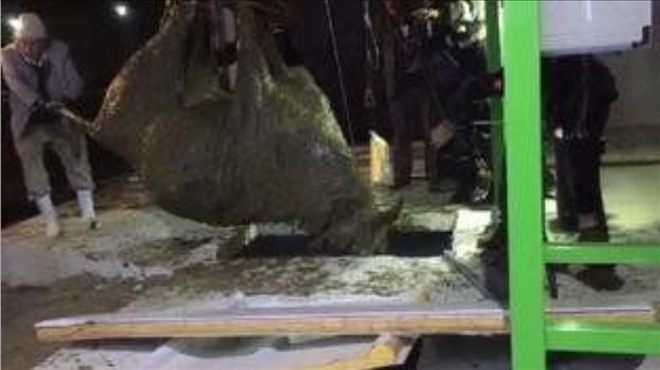 Foseptik çukuruna düşen inek kepçeyle kurtarıldı
