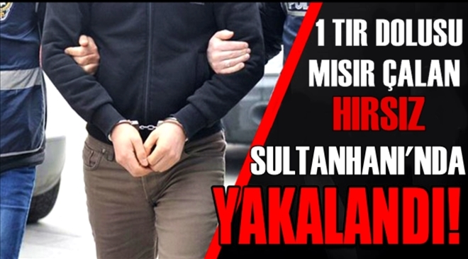Bir tır dolusu mısır çalan hırsız yakalandı