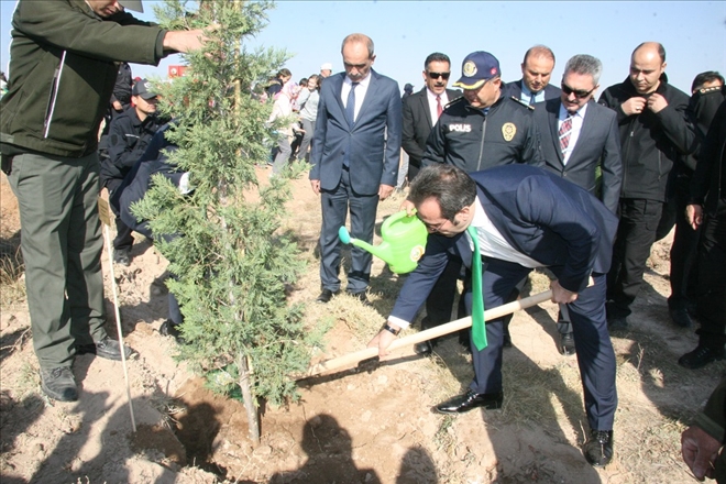Fidanlar Fidanlarla Büyüyor