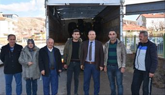 Dört Genç Çiftçiye 5´er  Adet Büyük Baş Hayvan Desteği Yapıldı