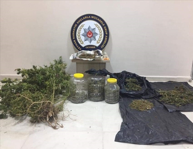 Aksaray´da uyuşturucu operasyonu:1 tutuklama