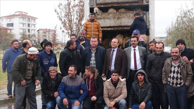 Genç çiftçilere koyun dağıtımı yapıldı