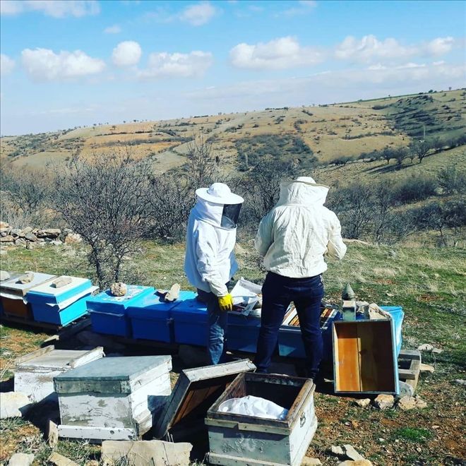 Aksaray´da geçen yıl bin ton bal üretildi