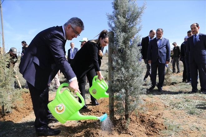 Daha yeşil bir Aksaray için fidanlar toprakla buluştu