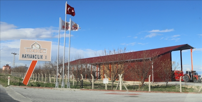 Konya´da 