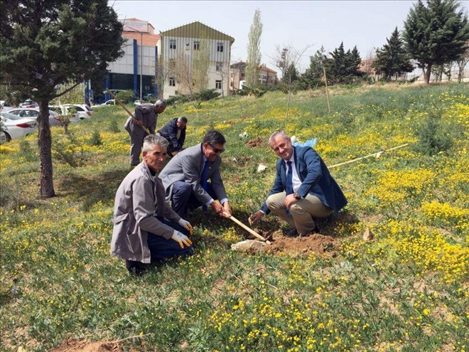 Hastane Bahçesinde Fidanlar Toprakla Buluştu | aksarayhaber68