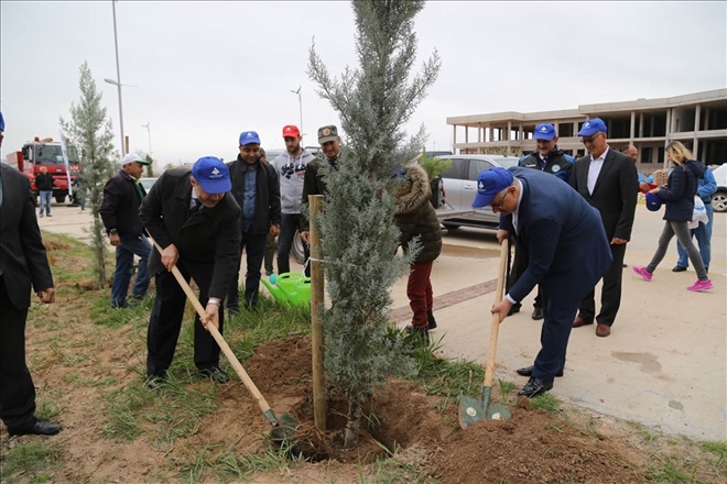 Aksaray´da 10 bin fidan toprakla buluştu