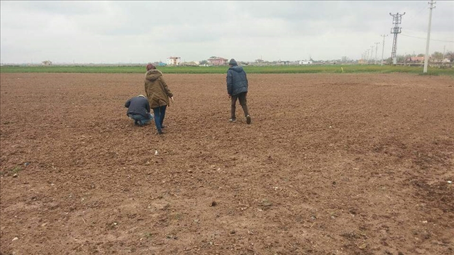 Son Yağışlar Üreticinin Yüzünü Güldürdü