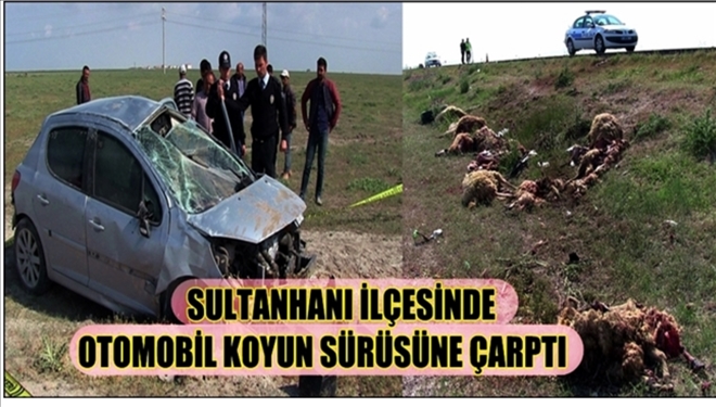 Aksaray´da otomobil koyun sürüsüne çarptı