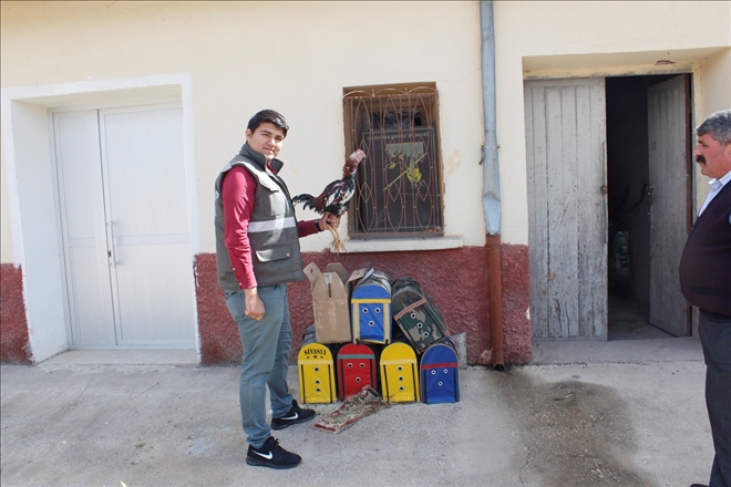Horoz dövüştürenlere baskın