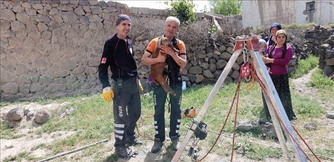 Kuyuya Düşen Oğlak Kurtarıldı