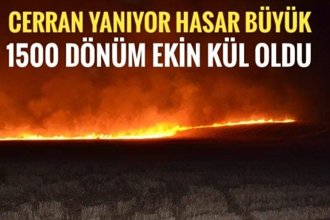 Aksaray´da 1500 dekar ekili alan yandı