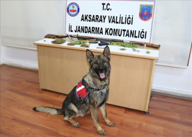 Uyuşturucu ve Uyarıcı Madde İmal ve Ticareti yapan 5 kişi yakalandı