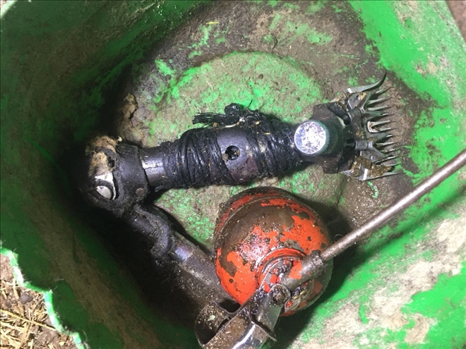 Koyun kırkarken elektrik akımına kapılıp öldü