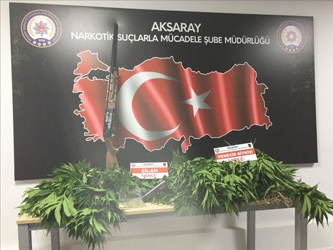 Sokak operasyonlarında 477 kişiye Adli işlem yapıldı