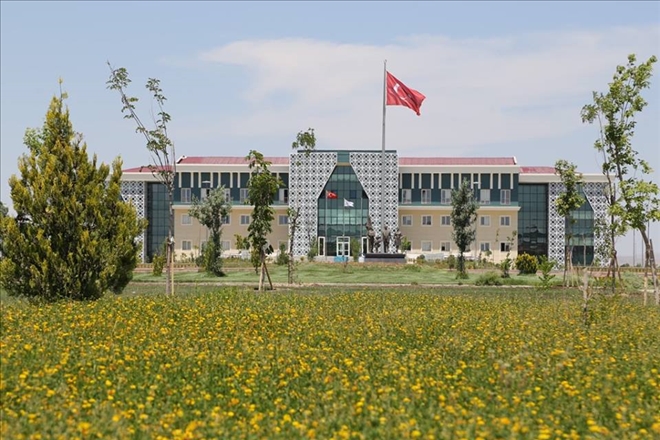 Kampüs Alanı Giderek Yeşilleniyor