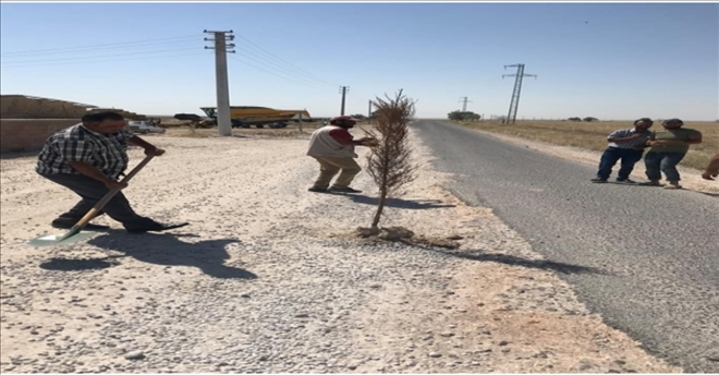 Bozuk yol´a anlamlı tepki