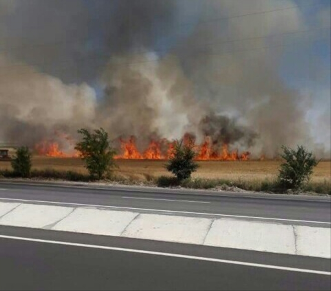Aksaray´da 25 dekar buğday ekili tarla yanarak kül oldu
