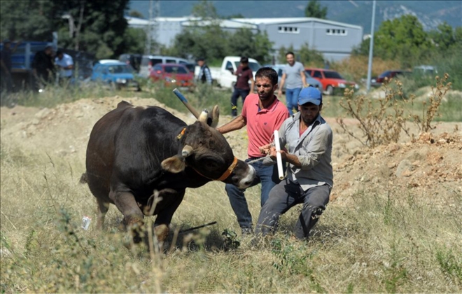 Aksaray Belediyesi Kurban Bayramı süresince 24 saat hizmet verecek