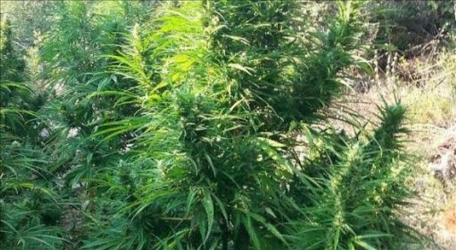 Aksaray´da uyuşturucu operasyonu:2 gözaltı