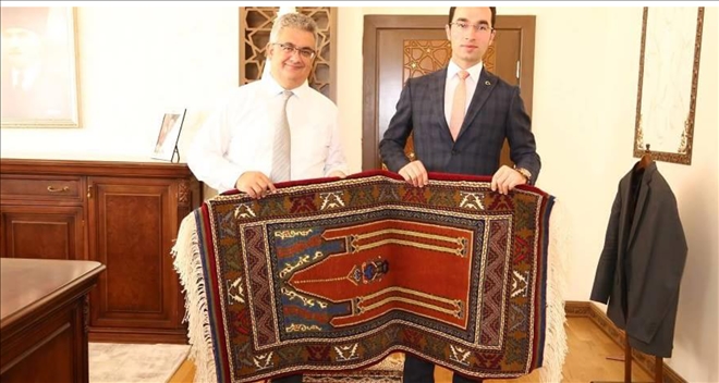 Kaymakamlar Vali Aykut Pekmez´i ziyaret etti  