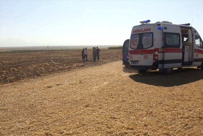 Aksaray´da çobanların kanlı kavgası:1 ağır yaralı
