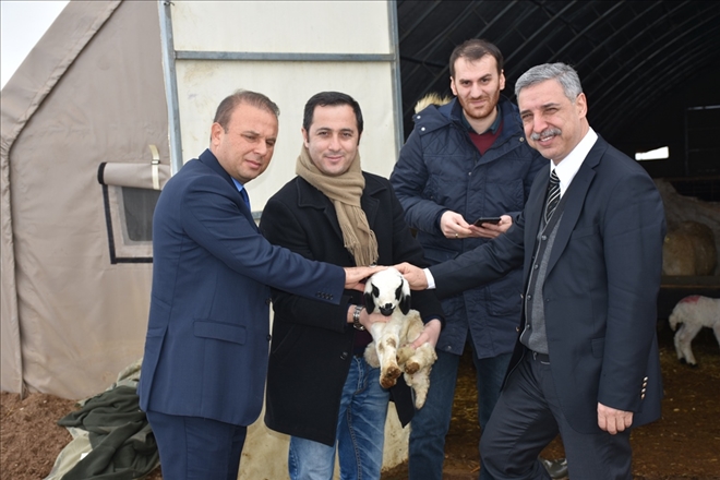 Aksaray´a Kop ile Çoban Evleri ve Ağıllar Yerleşiyor