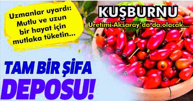 Ekilirse Aksaray´da ´Kuşburnu´ marka olabilir