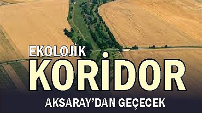 Aksaray dahil 22 ilde ekolojik koridor oluşturulacak