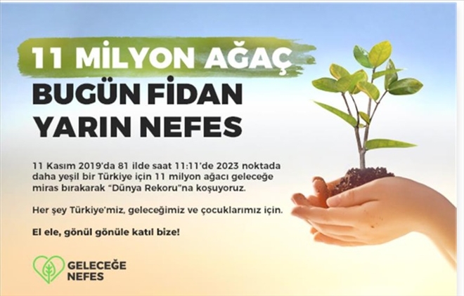 Aksaray fidan sahiplenmede isteksiz