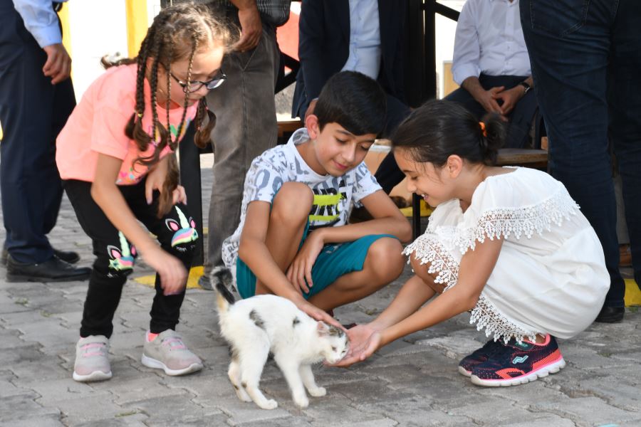 Sokak hayvanlarına şefkat eli