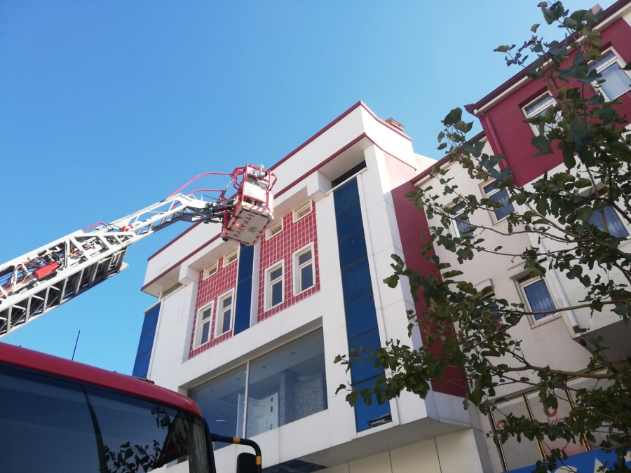 Kapalı binanın 4.katındaki kediyi itfaiye kurtardı