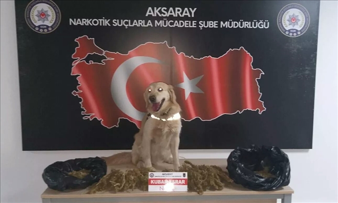 Narkotik ekiplerinden 50 ilde sokak operasyonu:421 Gözaltı