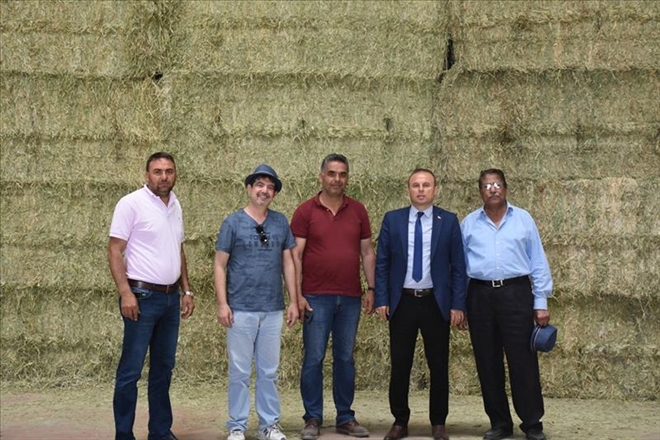 Aksaray´dan Birleşik Arap Emirlikleri´ne yonca ihracatı