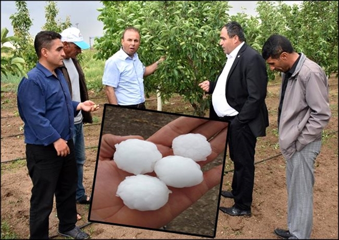 Aksaray´da dolu afetinin verdiği zarar 20 milyon TL