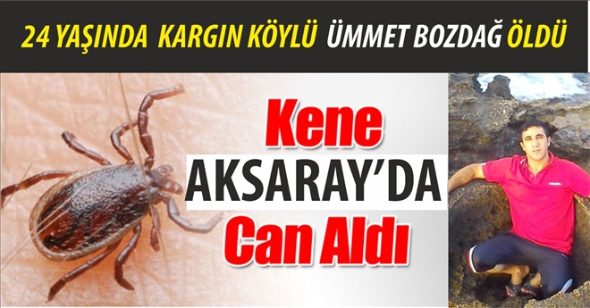 Kene ısırması sonucu 1 kişinin hayatını kaybettiği köyde ilaçlama yapılacak