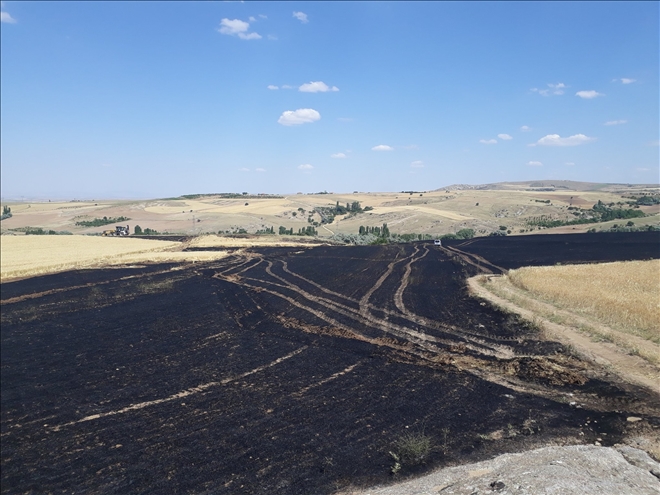 300 Dekar Ekili Alan Yanarak Kül Oldu