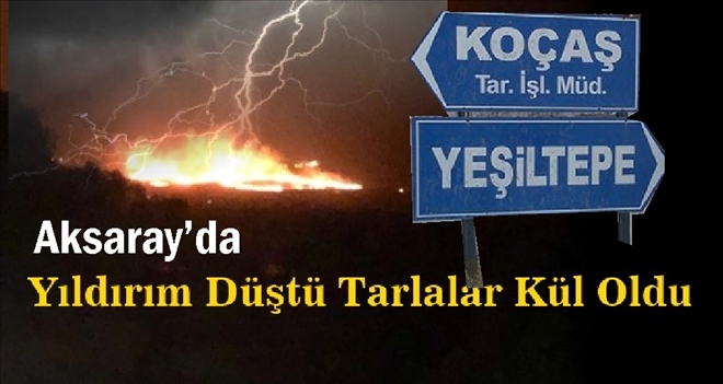 Aksaray´da yıldırım düştü! 30 dönüm ekili alan kül oldu