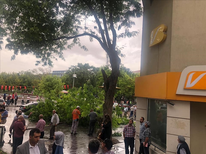 Rüzgarda kırılan ağaç  dalı yayaların üzerine düştü:2 yaralı