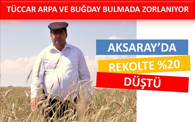 Aksaray´da rekolte yüzde 20 düştü
