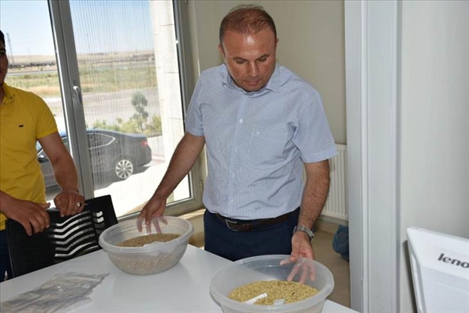 Çiftçilerimizin emeği değer görüyor