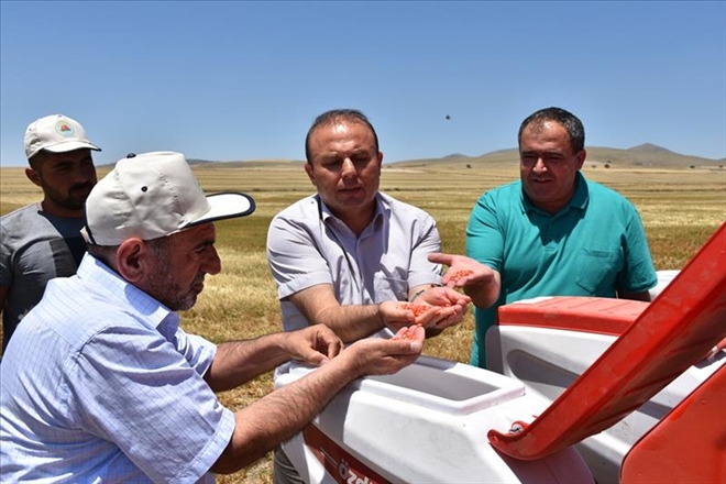 Mısıra doğrudan ekim mibzerinin denemesi yapıldı