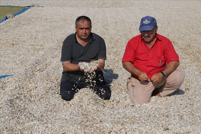 Başkan Koçak,