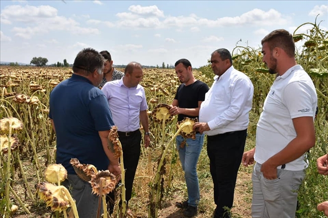 Aksaray´da 12 bin dekar ekili tarım arazisini dolu vurdu