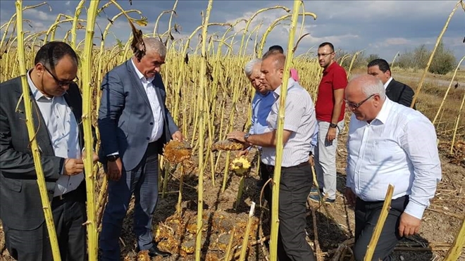 Milletvekili Kaşlı ve MHP heyeti afet bölgesinde