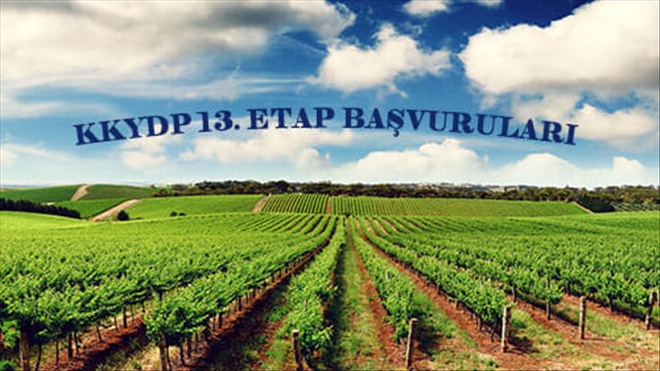 Tarıma Dayalı Yatırımlar İçin Hibe Başvuruları Başladı